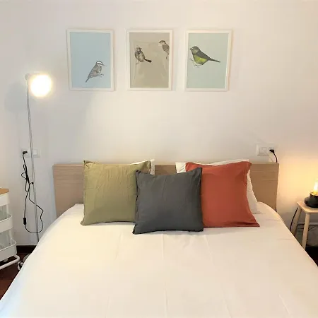 Alola Cimadevilla 希洪